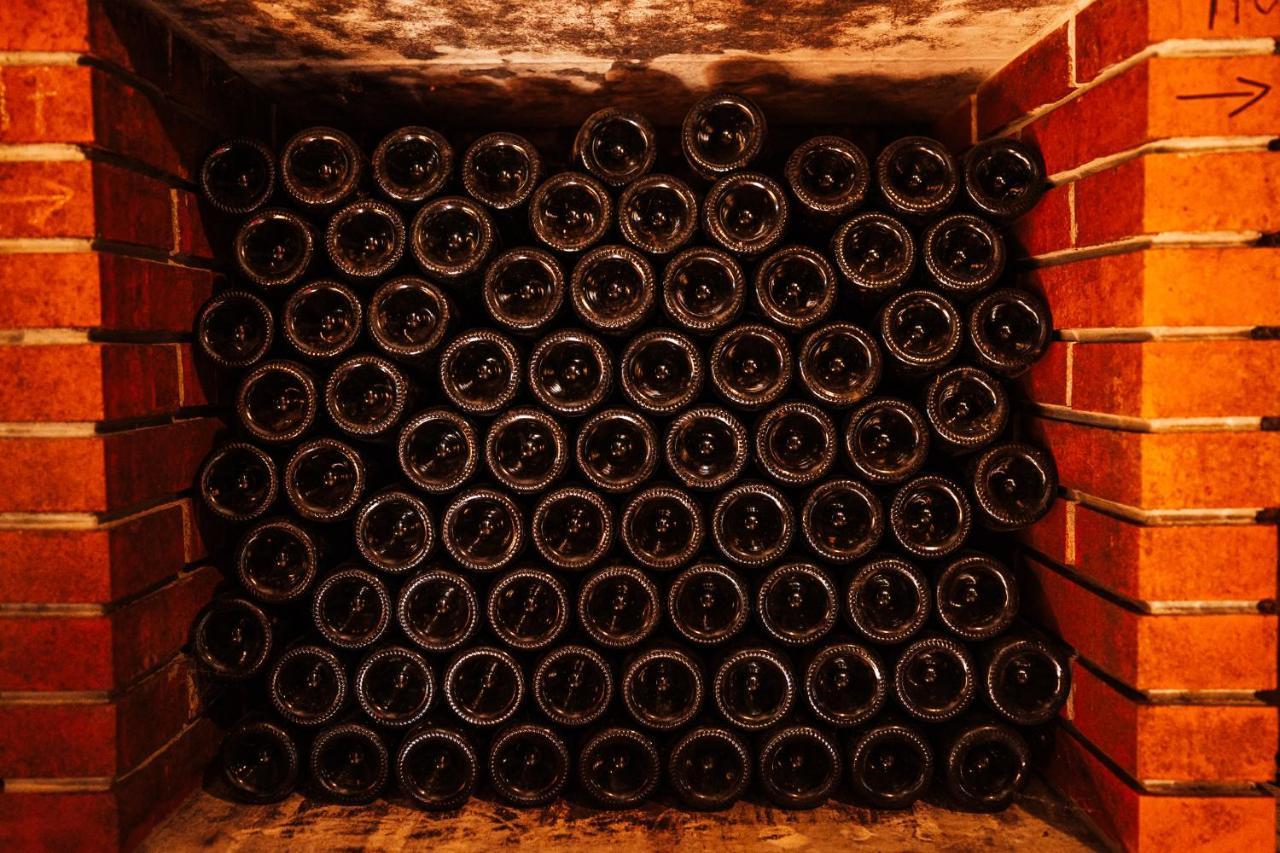 Wine Paradise Glavinic Miklavz pri Ormozu Exteriér fotografie